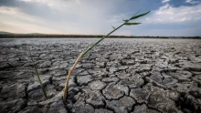 Kicsivel gyorsabban nőtt a gazdaság az aszály ellenére is, véget ért a három és fél szűk esztendő