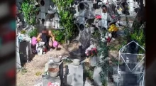 Gyerekek sírjáról lopott virágokat egy férfi Szolnokon