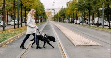 Póráz nélkül is lehet majd vezetni a segítő kutyákat közterületen