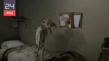 Megvan, ki játssza Dobbyt és a fiatal Voldemortot a Harry Potter-sorozatban