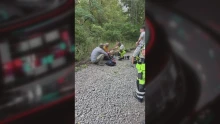 Baleset után eltűnt: 14 órán át keresték az erdőben a sérült férfit Szentendre közelében
