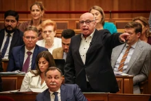 Abszolút óvoda: Hallerné Nagy Anikó hét percen át próbálta fegyelmezni a fideszes képviselőket – videó
