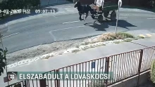 Elszabadult lovaskocsi okozott riadalmat Debrecen-Józsán