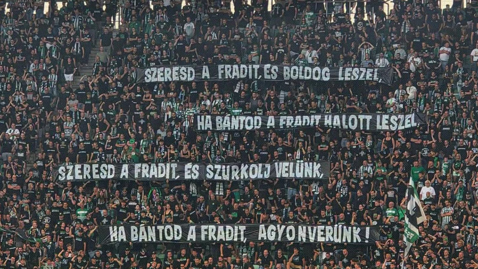 Magyar Labdarúgó-szövetség