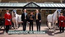 Csak kölcsönbe adta a lipicai lovakat az Agrárminisztérium III. Károlynak