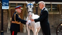 Világbajnok hajtótól vették el a III. Károly koronázására Londonba küldött lovat