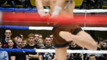 Bravúros szereplés: három arannyal zárt a magyar válogatott