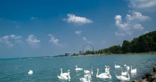 Háború tört ki a Balatonnál a helyi lakosok és egy ingatlanfejlesztő között, állítólag a tó vízellátása a tét