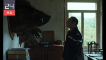 A penészfoltból induló társasházi kálvária és a vaddisznók is győztek a miskolci filmfesztiválon