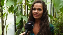 „Mindenkihez nyitottan állok majd” – Geszler Dorottya így készül a dzsungelbeli kalandra