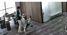 Kungfurúgással támadt a saját fejlesztőjére egy robot Kínában